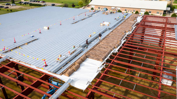 Metal Roofing